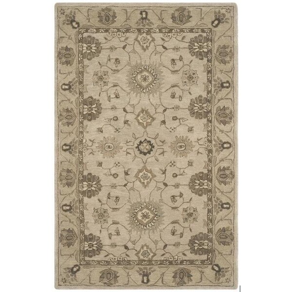 Safavieh Anatolia Small Rectangle Area Rug, Beige and Beige - 3 x 5 ft. - AN586G-3