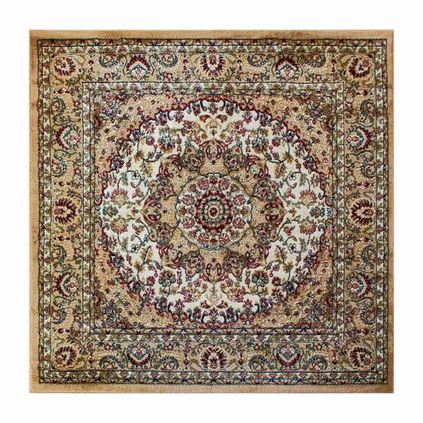 Flash Furniture Ivory 5x5 Square Traditional Persian Style Rug - NR-RGB401-55-IV-GG