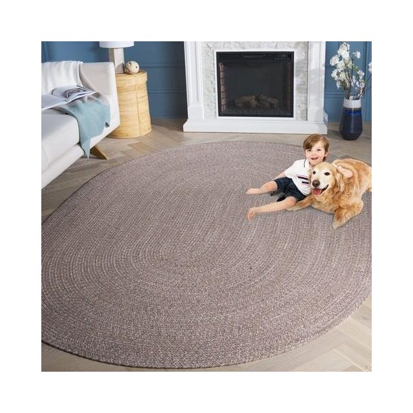 Safavieh 3 x 3 ft. Round Braided Hand Woven Rug, Ivory and Beige - BRD256B-3R
