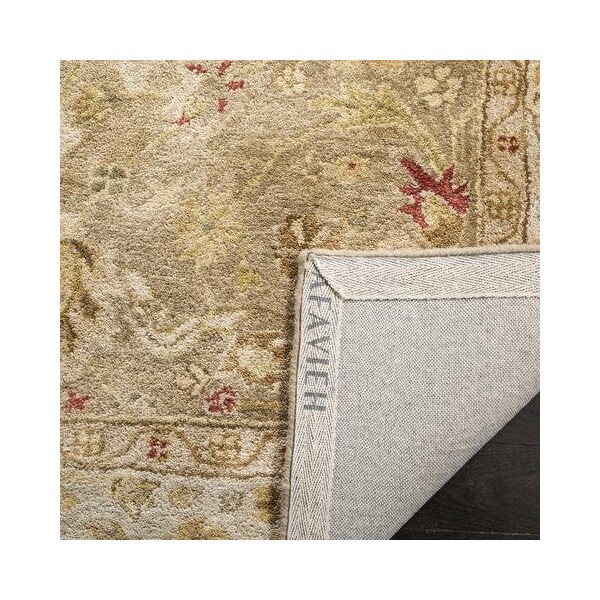Safavieh 3 x 5 ft. Accent Traditional Antiquity- Brown and Beige Hand Tufted Rug - AT822B-3