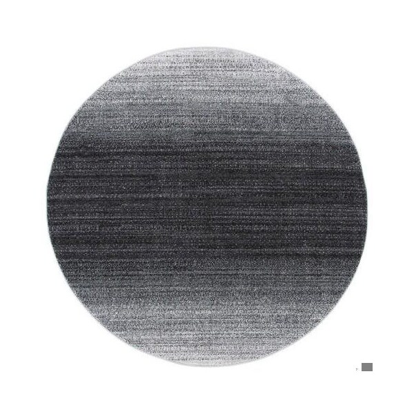 Safavieh 4 x 6 ft. Adirondack Rectangle Area RugGrey & Dark Grey - ADR142H-4
