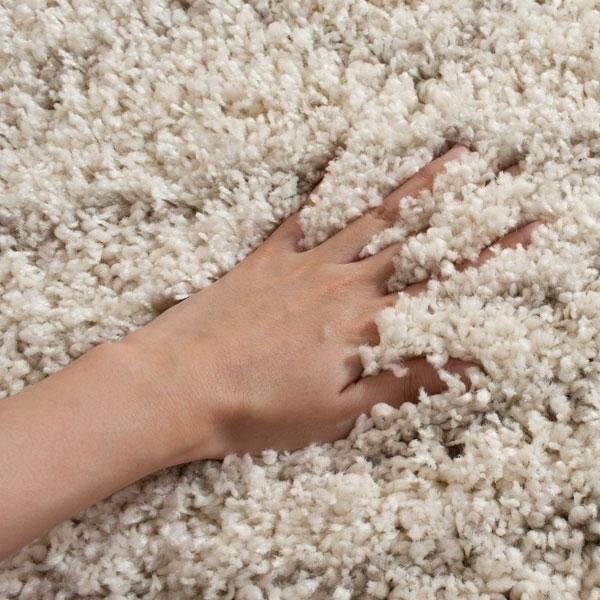 Safavieh Arizona Shag Small Rectangle RugIvory & Beige 3 x 5 ft. - ASG741A-3