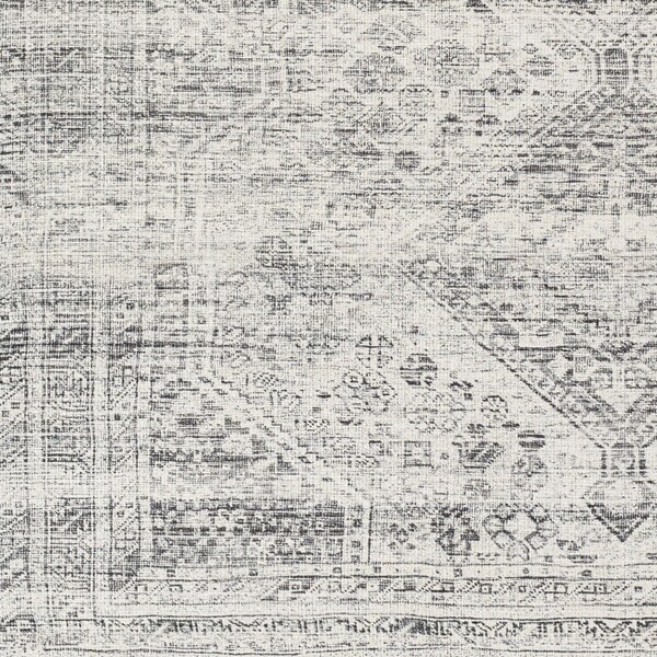 Livabliss Amelie AML-2381 Machine Washable Area Rug - AML2381-27710