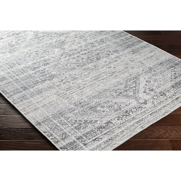 Livabliss Amelie AML-2381 Machine Washable Area Rug - AML2381-27710