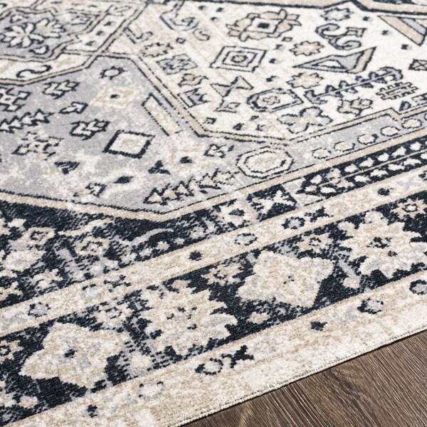Livabliss Lavadora LVR-2324 Machine Washable Area Rug - LVR2324-2773