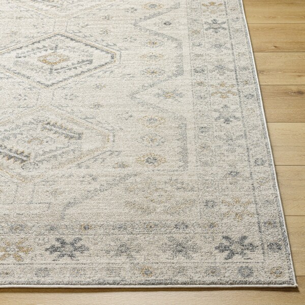 Livabliss Alpharetta APH-2305 Machine Crafted Area Rug - APH2305-71010
