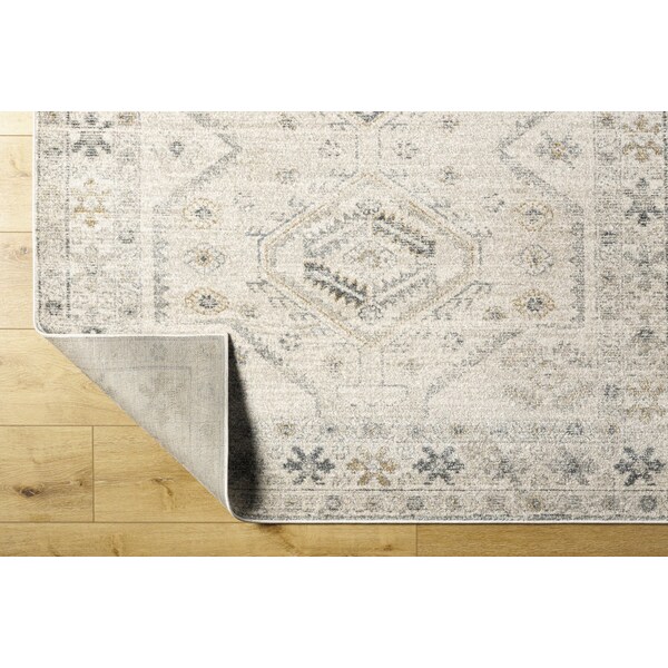 Livabliss Alpharetta APH-2305 Machine Crafted Area Rug - APH2305-71010