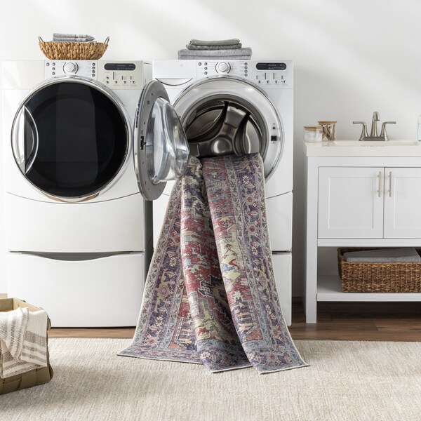 Livabliss Amelie AML-2372 Machine Washable Area Rug - AML2372-5373