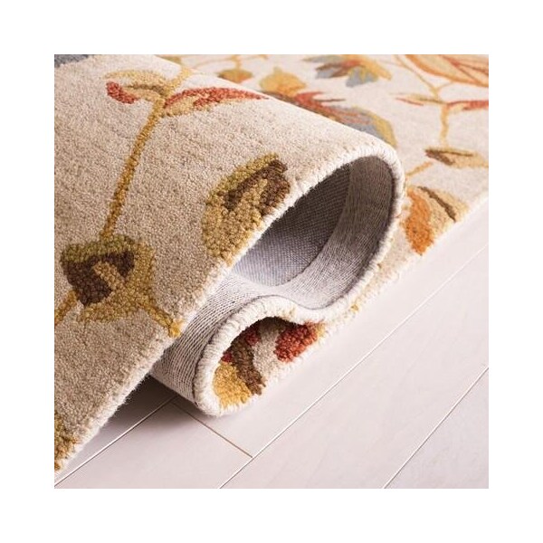 Safavieh 2 x 3 ft. Accent Country and Floral Blossom- Beige and Multi Hand Hooked Rug - BLM913C-2