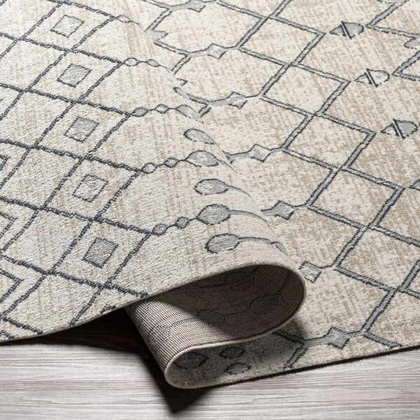 Livabliss Lavadora LVR-2339 Machine Washable Area Rug - LVR2339-67RD