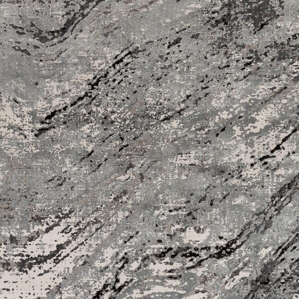 Livabliss Solar SOR-2309 Area Rug , With Fringe - SOR2309-3910