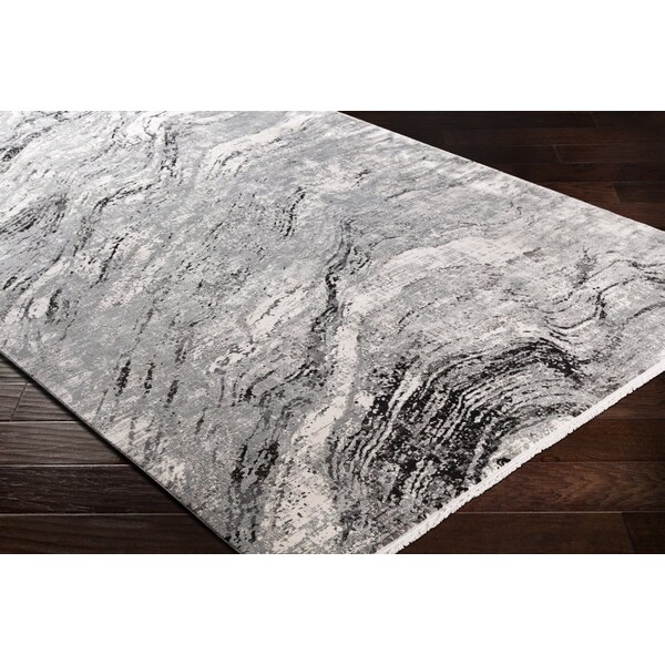 Livabliss Solar SOR-2309 Area Rug , With Fringe - SOR2309-3910