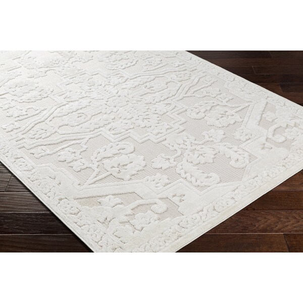Livabliss San Diego SFG-2339 Outdoor Safe Area Rug - SFG2339-679