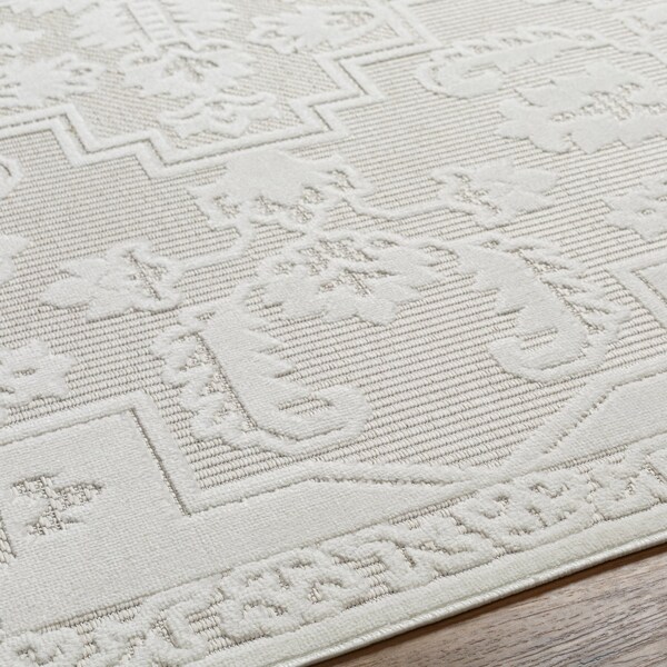 Livabliss San Diego SFG-2339 Outdoor Safe Area Rug - SFG2339-679