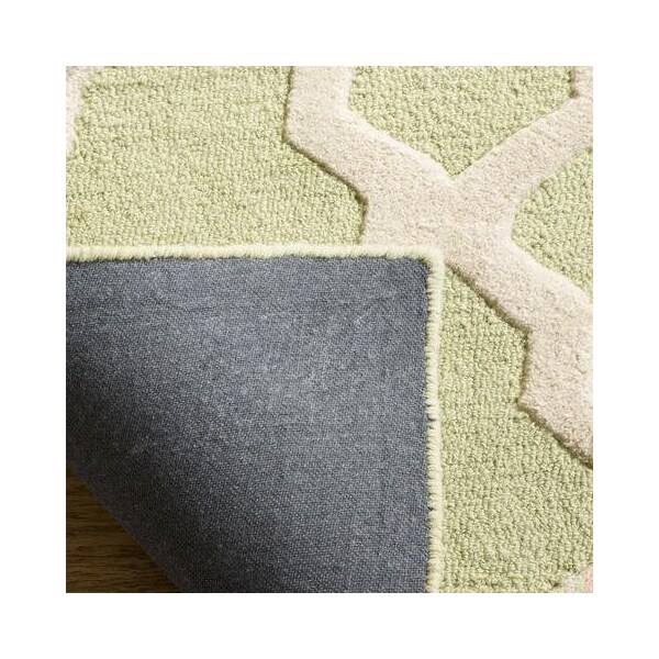 Safavieh 2 x 3 ft. Accent Transitional Cambridge- Light Green and Ivory Hand Tufted Rug - CAM121B-2