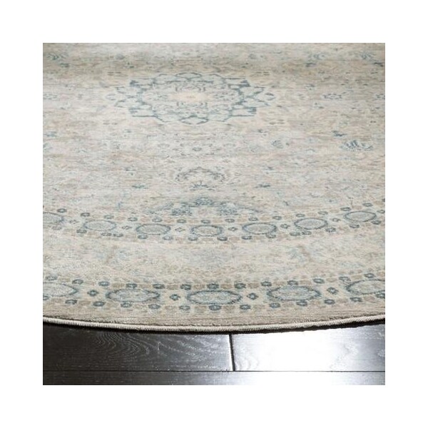 Safavieh Archive Small Rectangle Area Rug, Grey and Blue - 4 x 6 ft. - ARC671A-4