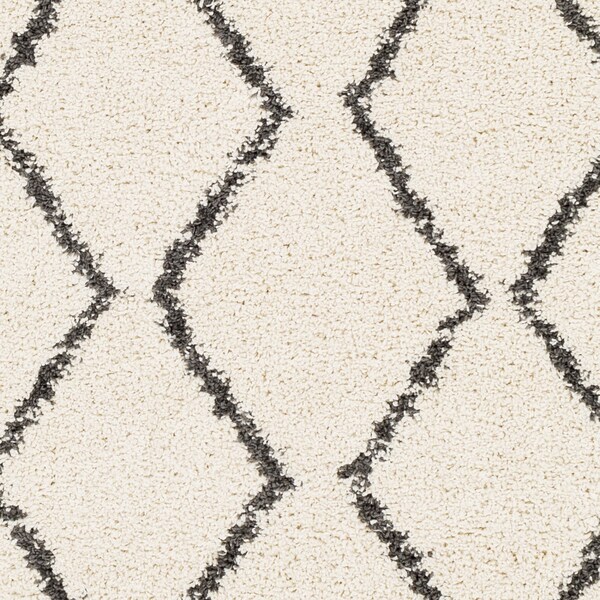 Livabliss Berber Shag BBE-2303 Area Rug , With Fringe - BBE2303-9212