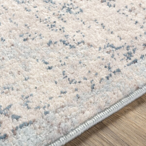 Livabliss Ankara AKR-2310 Machine Crafted Area Rug - AKR2310-53RD