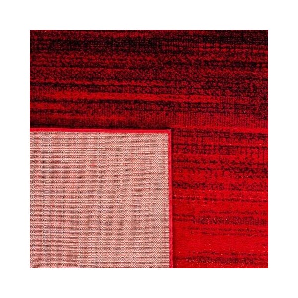 Safavieh Rectangular Adirondack Contemporary Area Rug, Red & Black - 3 x 5 ft. - ADR142Q-3