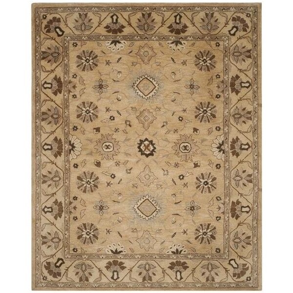Safavieh Anatolia Medium Rectangle Area RugBeige & Beige 5 x 8 ft. - AN586G-5
