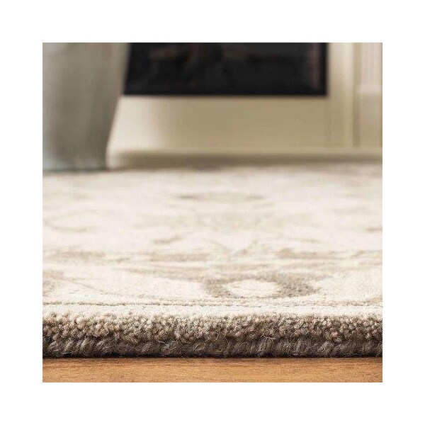 Safavieh Anatolia Medium Rectangle Area RugBeige & Beige 5 x 8 ft. - AN586G-5