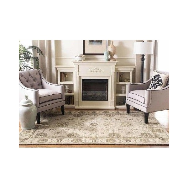 Safavieh Anatolia Medium Rectangle Area RugBeige & Beige 5 x 8 ft. - AN586G-5
