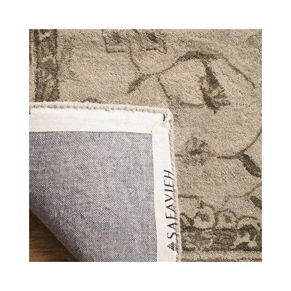Safavieh Anatolia Medium Rectangle Area RugBeige & Beige 5 x 8 ft. - AN586G-5