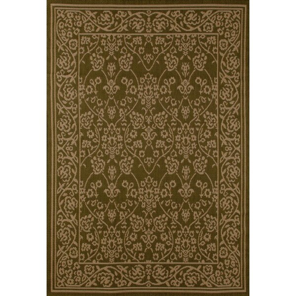 Standalone 3 x 4 ft. Plymouth Collection Cosmic Flat Woven Indoor & Outdoor Area Rug, Green - ST2590123