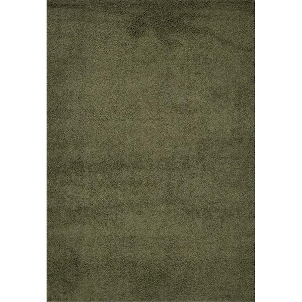 Terreno 5 x 7 ft. Discount World Shaggy Collection Green Area Rug - TE2586231
