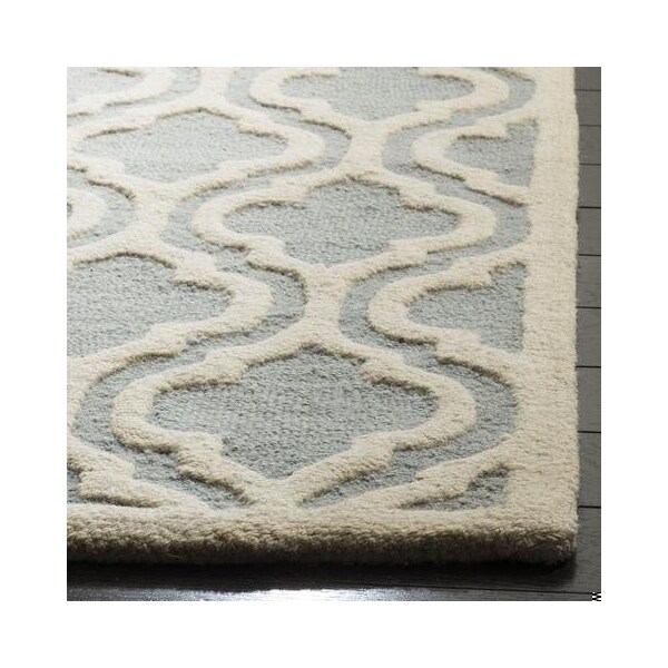 Safavieh 3 x 5 ft. Cambridge Hand Tufted Small Rectangle Area RugSpa & Ivory - CAM152A-3