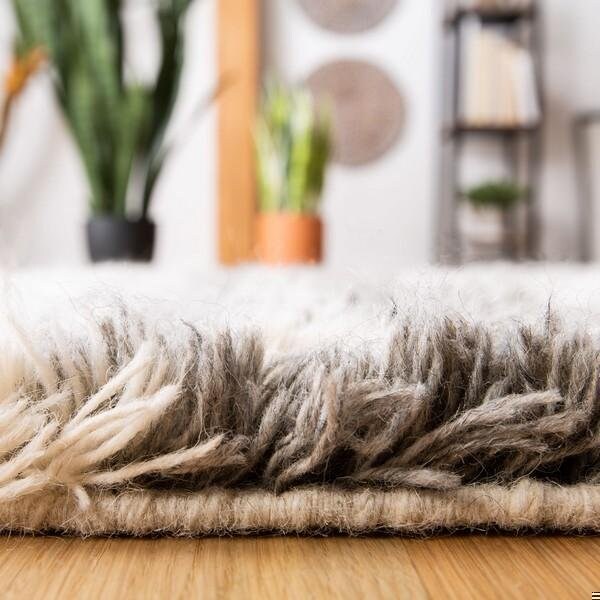 Safavieh 4 x 6 ft. Rectanglar Casablanca Shag Rug Ivory & Grey - CSB476F-4