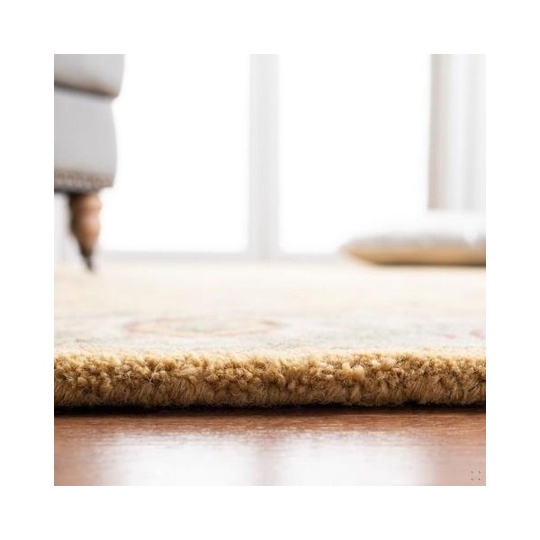Safavieh 3 x 5 ft. Accent Traditional Antiquity- Gold Hand Tufted Rug - AT21C-3