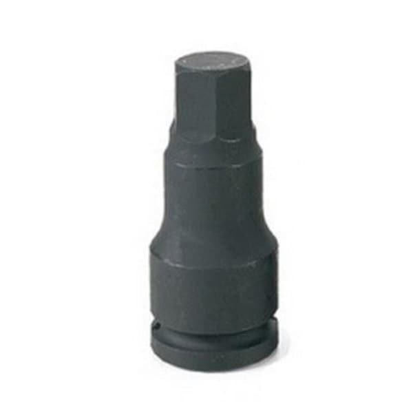 Light House Beauty 0.75 in. Drive x 12 mm Hex Driver - LI3480161