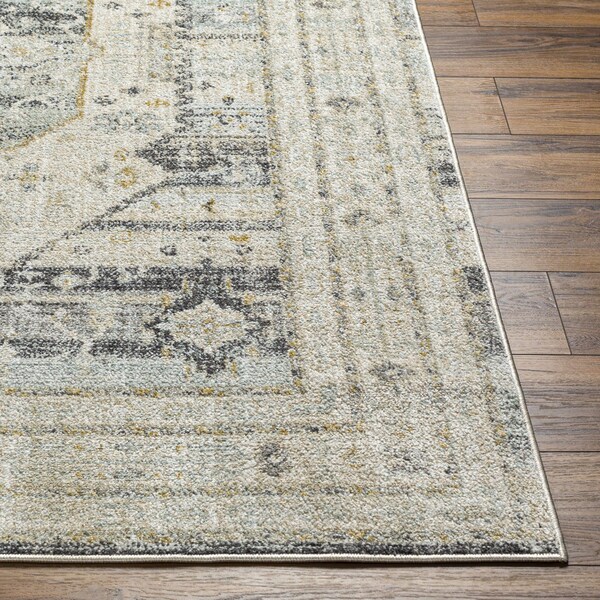 Livabliss Bitlis BSI-2300 Machine Crafted Area Rug - BSI2300-537