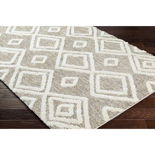 Livabliss Florida FLD-2307 Machine Crafted Area Rug - FLD2307-679