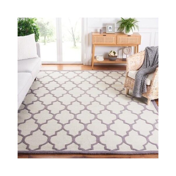Safavieh Cambridge Hand Tufted Rectangle Rug- Ivory - Silver- 2 x 3 ft. - CAM134Y-2