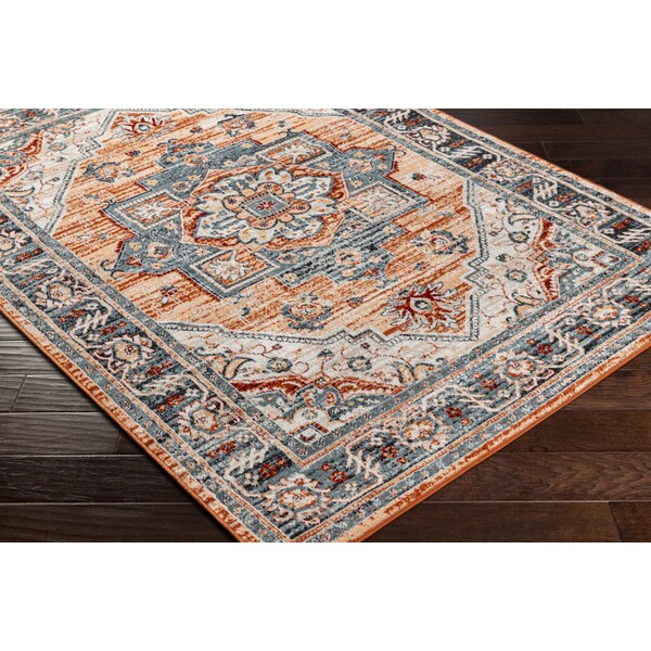 Livabliss Redondo Beach RDD-2323 Outdoor Safe Area Rug - RDD2323-679