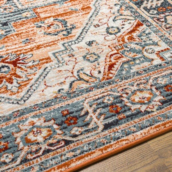 Livabliss Redondo Beach RDD-2323 Outdoor Safe Area Rug - RDD2323-679