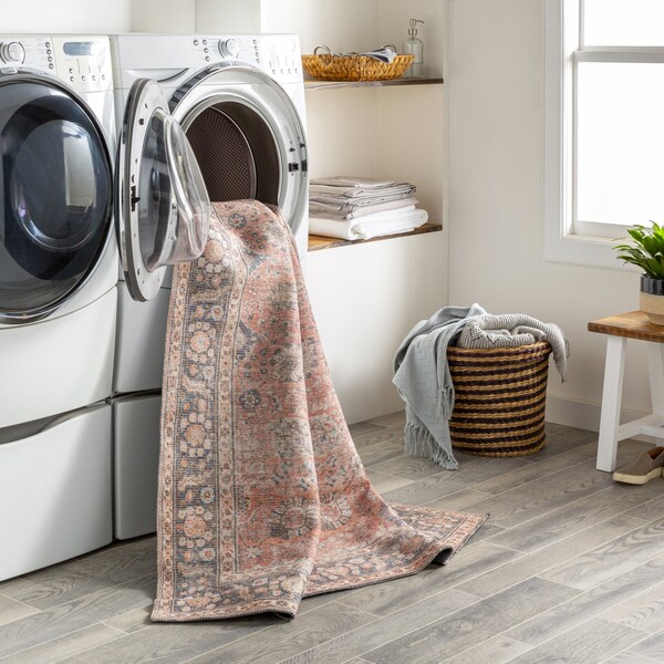 Livabliss Colin CLN-2301 Machine Washable Area Rug - CLN2301-679