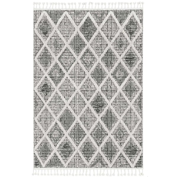 Homeroots 39 x 59 in. Polyester Diamonds Area Rug with Fringe, Charcoal - 375666