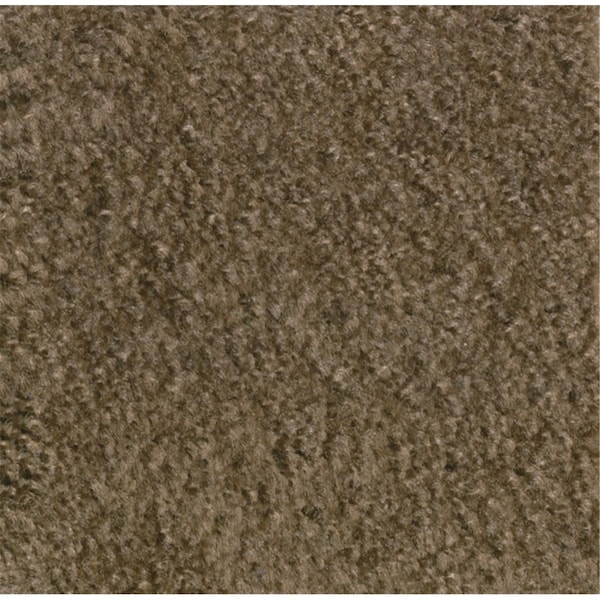 Wall-To-Wall Mt. St. Helens Solids 6 ft. x 9 ft. Rectangle Carpet Mocha - WA217121