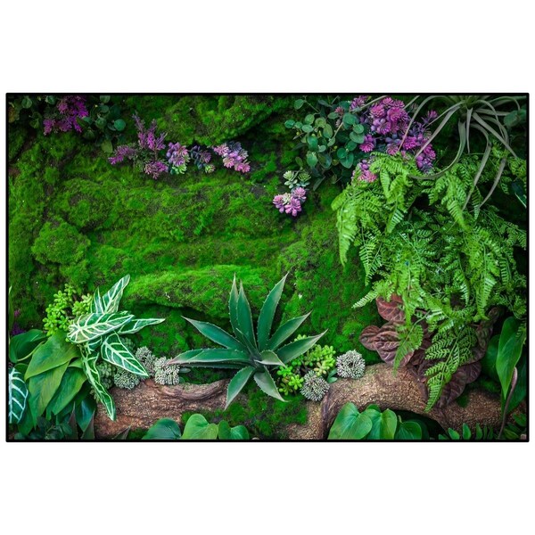 Carpets For Kids 6 x 9 ft. Rectangle Real Jungle Floor Rug - 60116