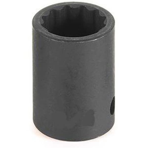 Light House Beauty 0.5 in. Drive x 1.5 in. 12 Point Standard Socket - LI3485535