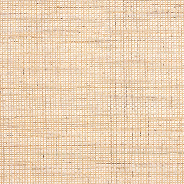Bali & Pari Aurelia Modern Bohemian Natural Rattan Queen Size Headboard - 236-13315-ZORO