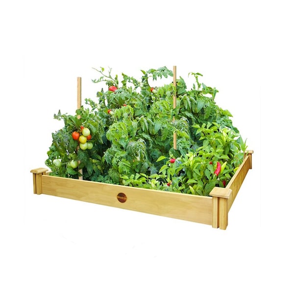 Miracle-Gro Miracle-Gro 5.5 in. H X 48 in. W X 48 in. D Cedar Elevated Garden Bed Kit Brown - RCMG4S4B