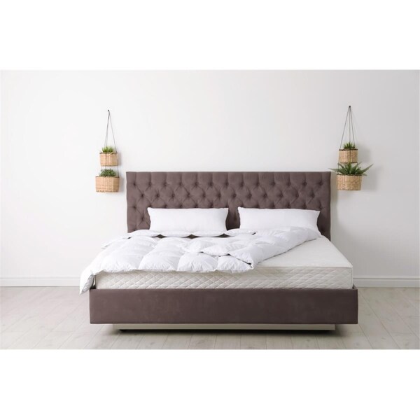 Homeroots 10 ft. White Premier Memory Foam Hypoallergenic Twin Extra Large Mattress - 415635