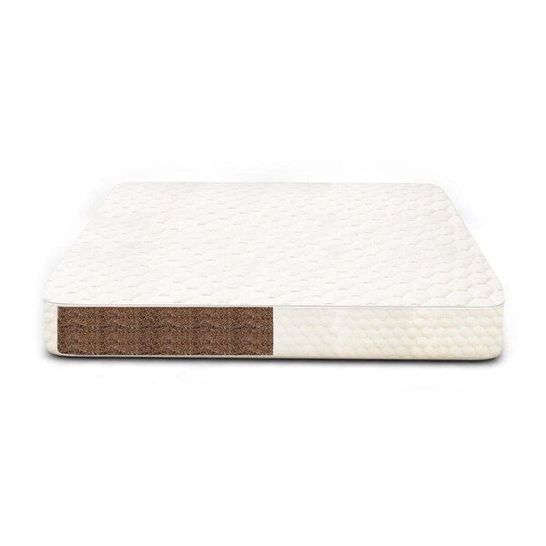 Honest Sleep Cocobase Mattress Foundation - Twin Size - COCOBASET