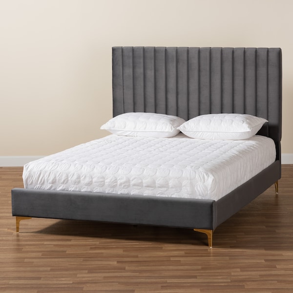 Baxton Studio Serrano Glam and Luxe Grey Velvet Upholstered and Gold Metal King Size Platform Bed - 215-10945-ZORO