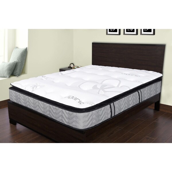 Spectra Mattress 11 in. Orthopedic Organic Medium Plush Knife Edge Pillow Top Pocketed Coil - Queen - SS571002Q