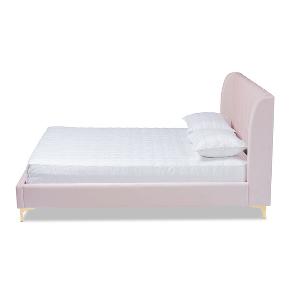 Baxton Studio Saverio Pink Velvet Queen Size Platform Bed with Gold-Tone Legs - 156-9099